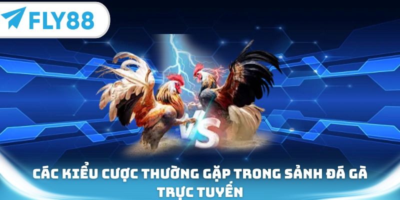Các kiểu cược thường gặp trong sảnh đá gà trực tuyến