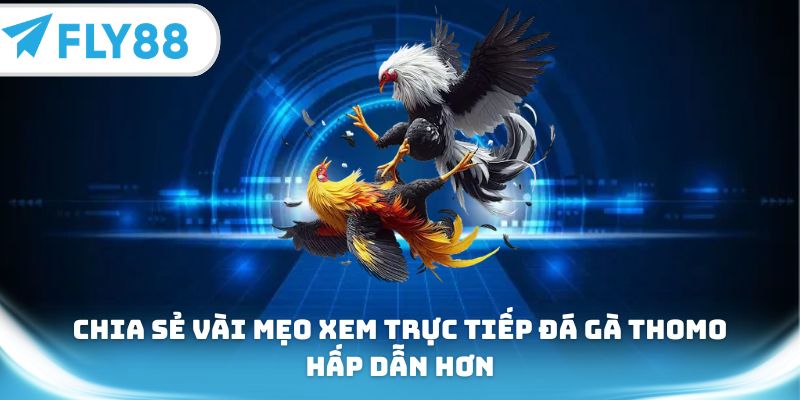 Chia sẻ vài mẹo xem trực tiếp đá gà Thomo hấp dẫn hơn