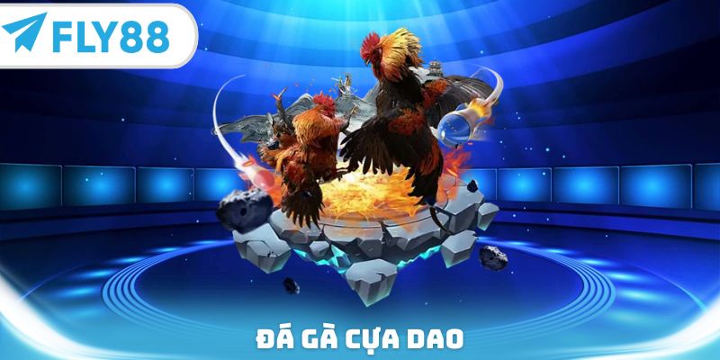 đá gà cựa dao