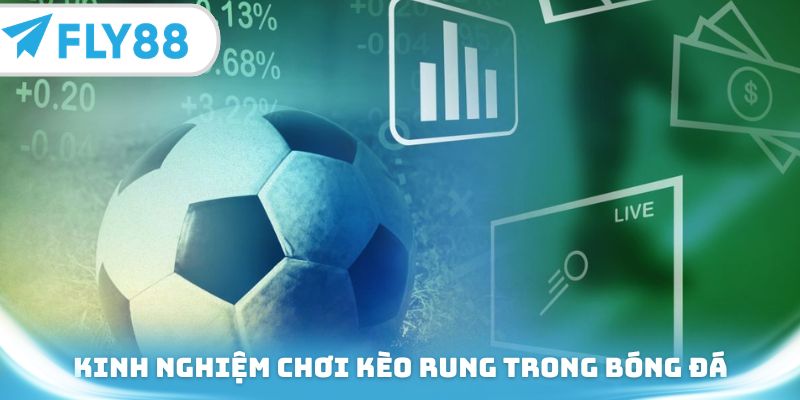 Kinh nghiệm chơi kèo rung trong bóng đá từ các cao thủ