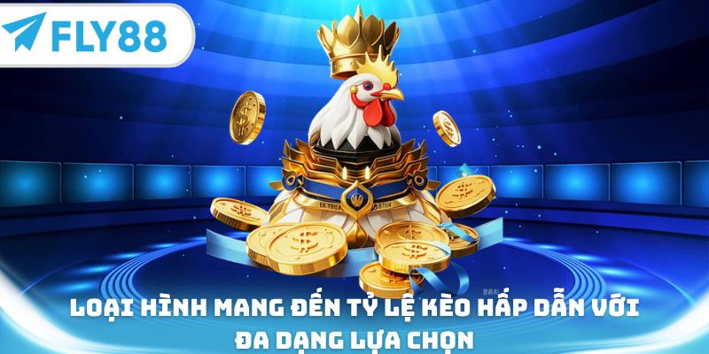 Loại hình mang đến tỷ lệ kèo hấp dẫn với đa dạng lựa chọn