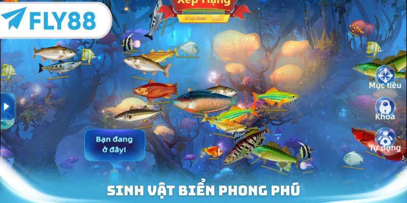 Sinh vật biển phong phú