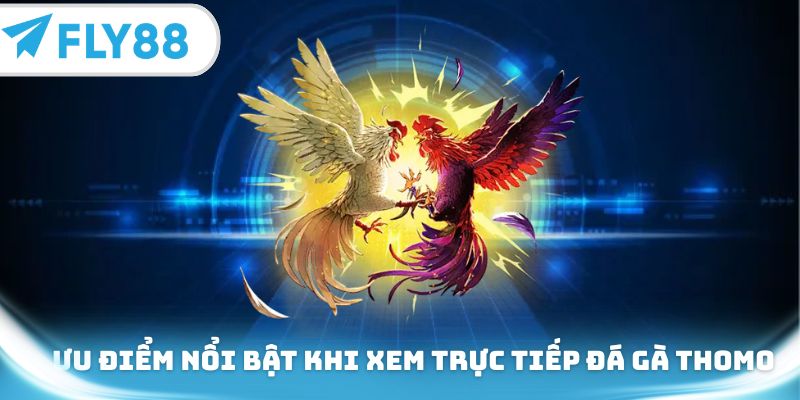 Ưu điểm nổi bật khi xem trực tiếp đá gà Thomo